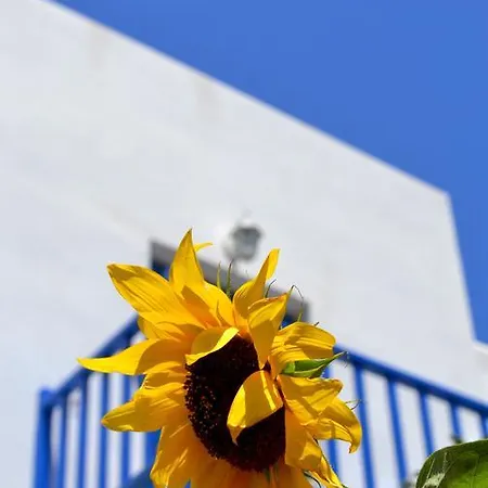 Bilia Ξενοδοχείο